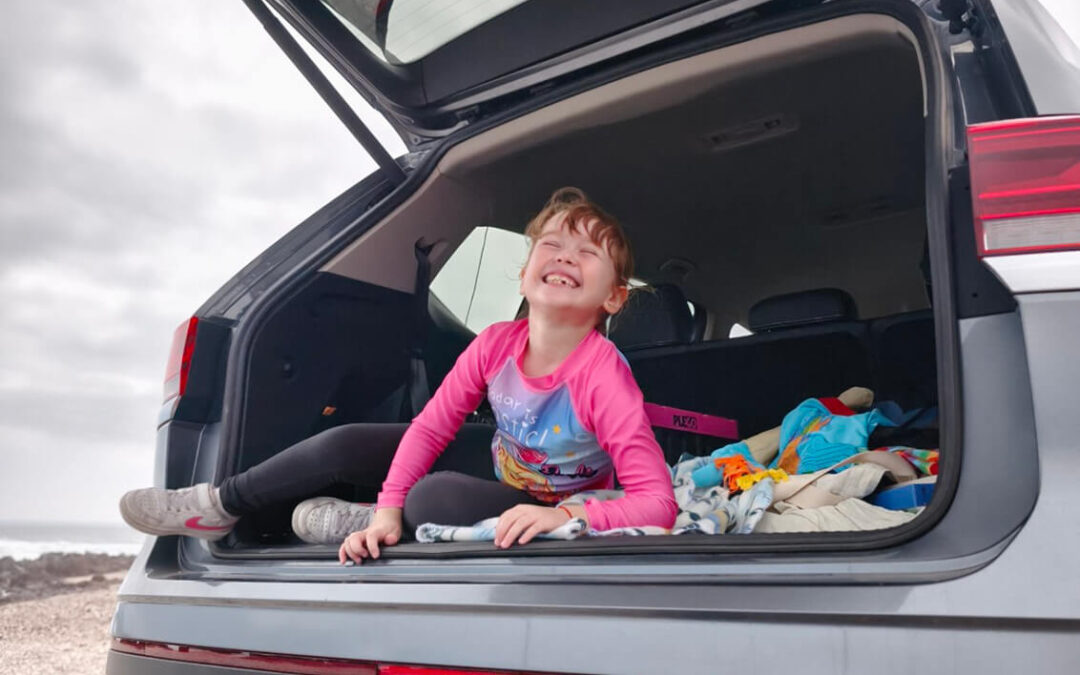 29 – Momento VW – Viviana Véliz Valle