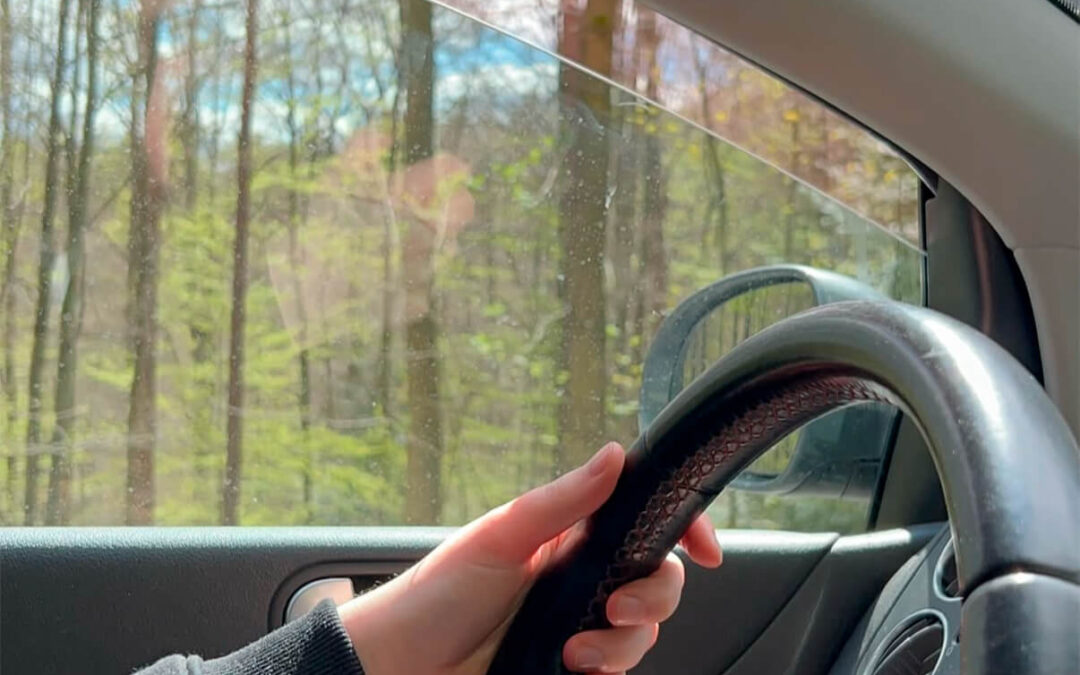 48 – Momento VW – Marisol Fernández