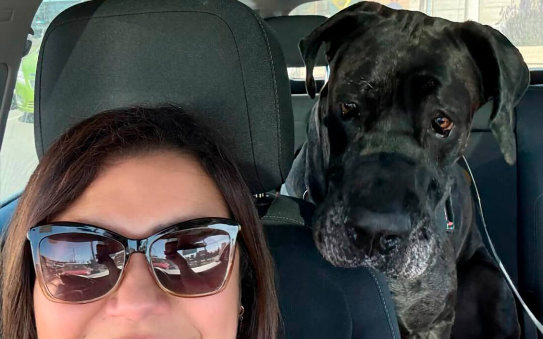 55 – Momento VW – Katia Braz