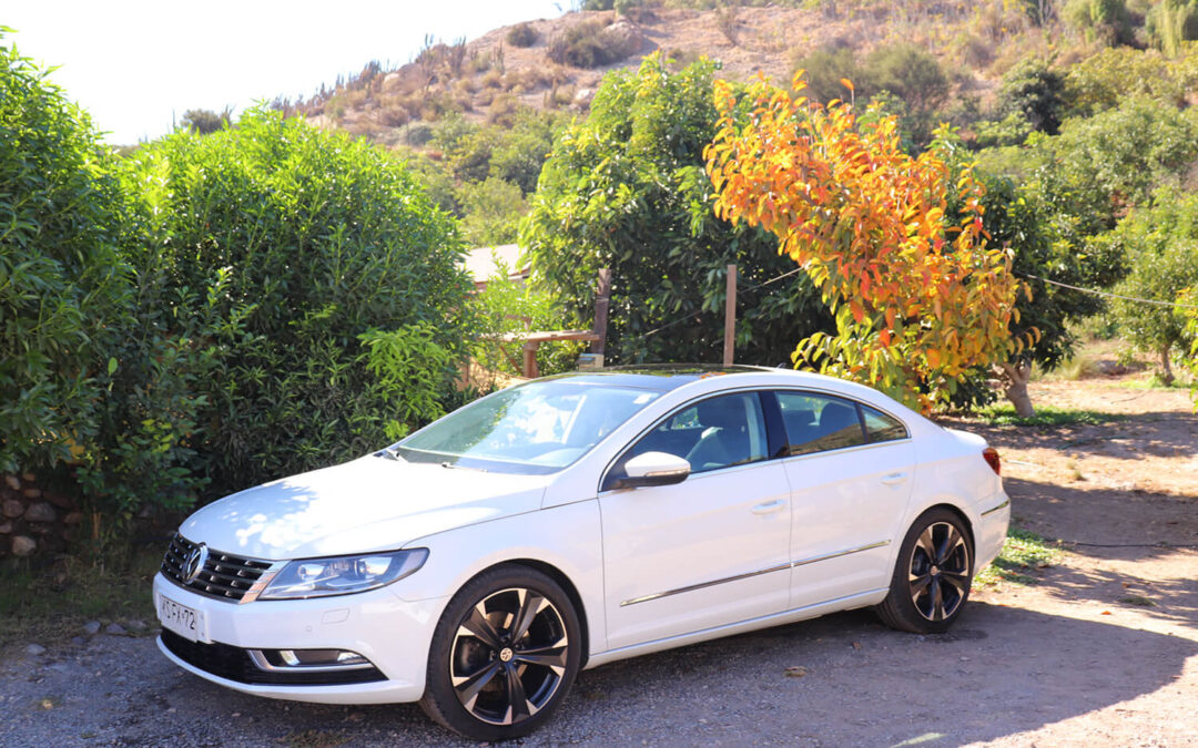 131 – Momento VW – Cristian Fariña