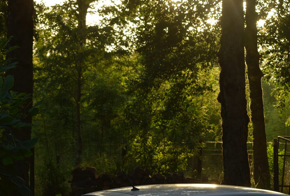 199 – Momento VW – Pedro Flores Rojas