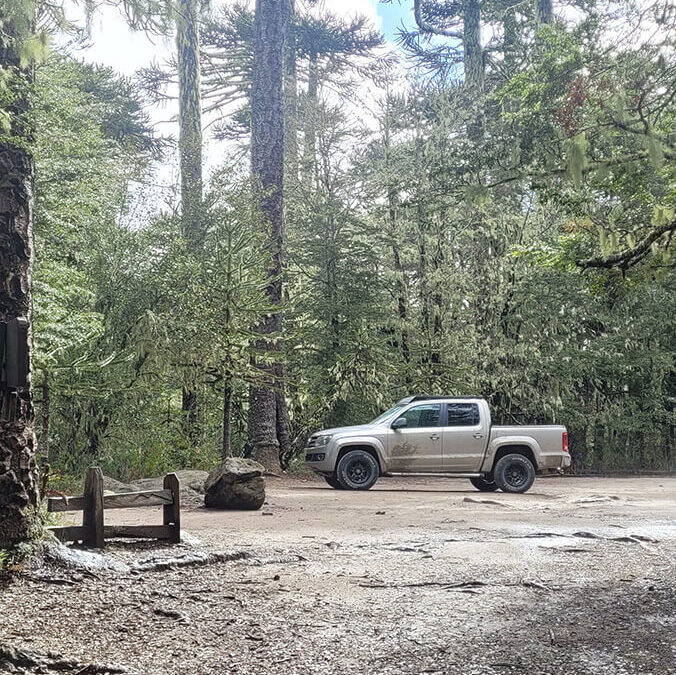 242 – Momento VW – Pablo Pincheira Sáez