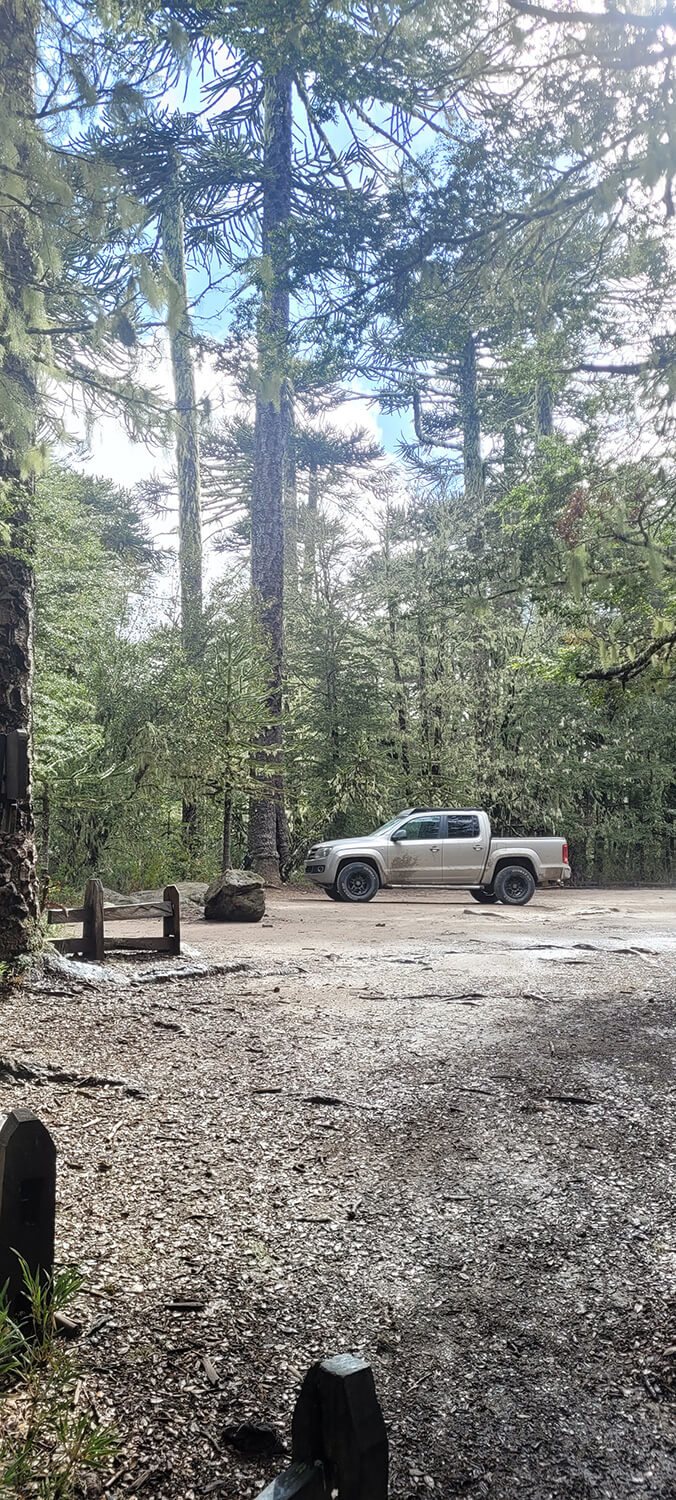 242 - Momento VW - Pablo Pincheira Sáez