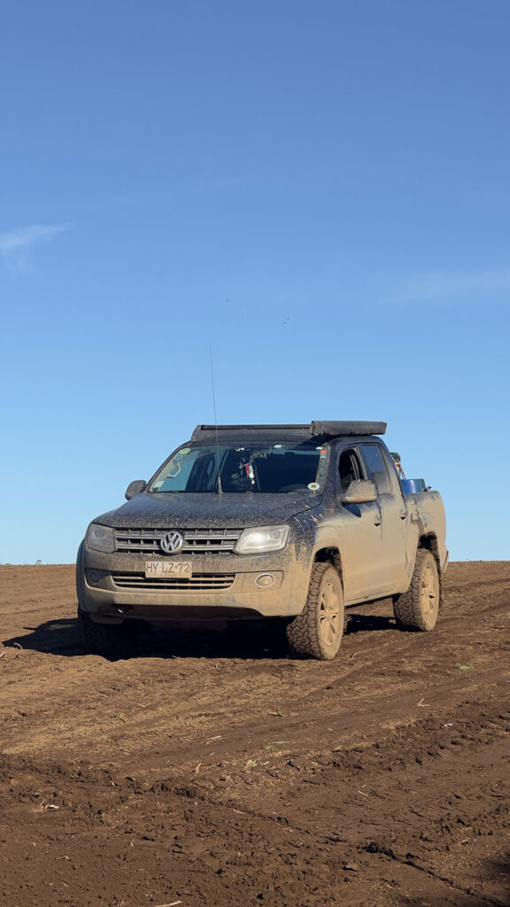 244 - Momento VW - Jorge Wellmann M