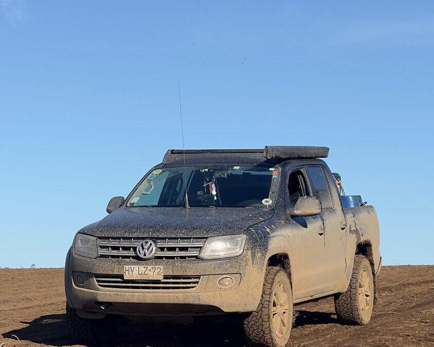 244 – Momento VW – Jorge Wellmann M