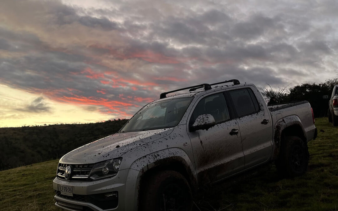 246 – Momento VW – Martin wiedmaier