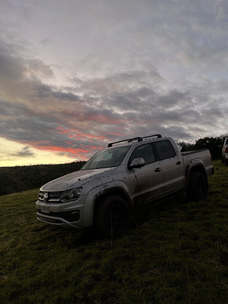 246 - Momento VW - Martin wiedmaier