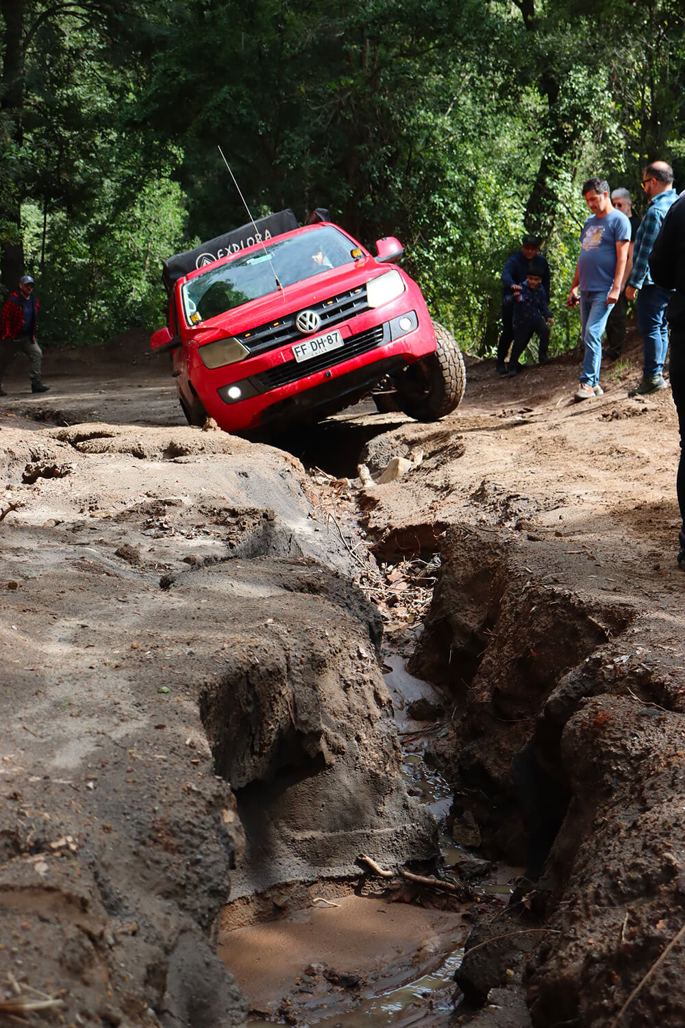 248 - Momento VW - Ricardo