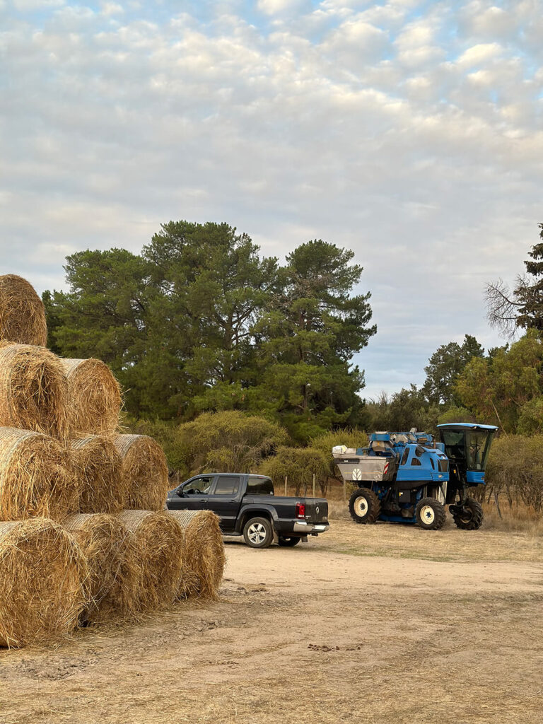 249 - Momento VW - Pablo dominguez