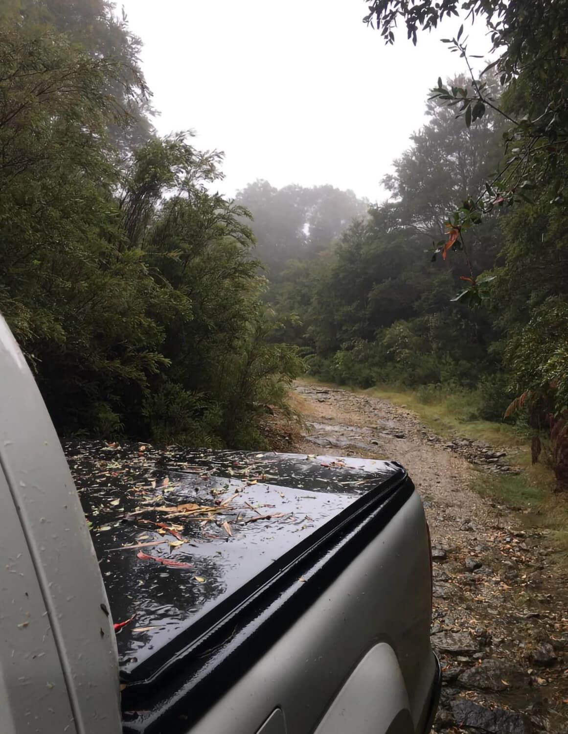 252 - Momento VW - Peter Ihl