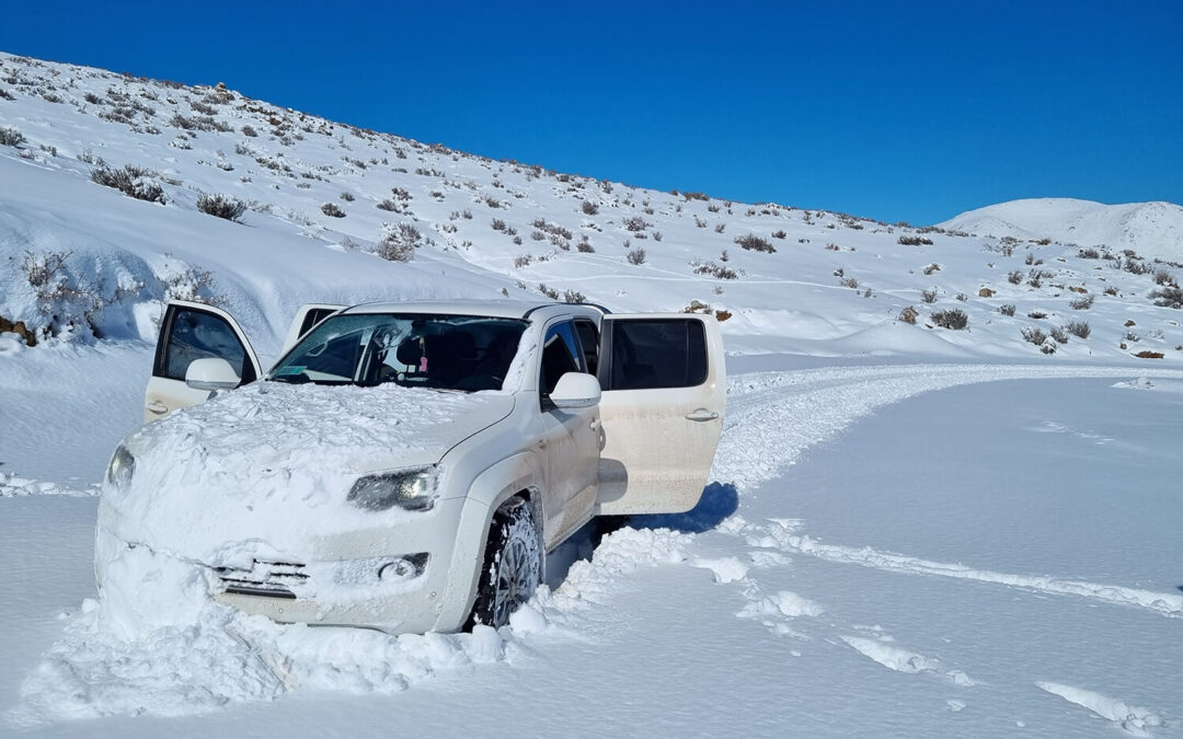 256 – Momento VW – Rodrigo Barceló