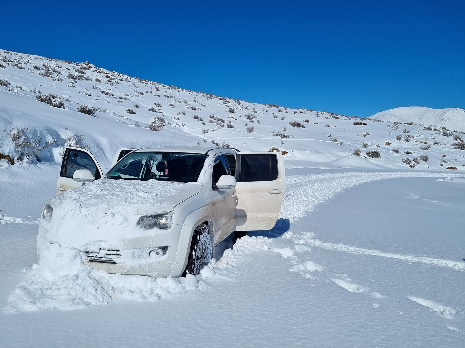 256 - Momento VW - Rodrigo Barceló