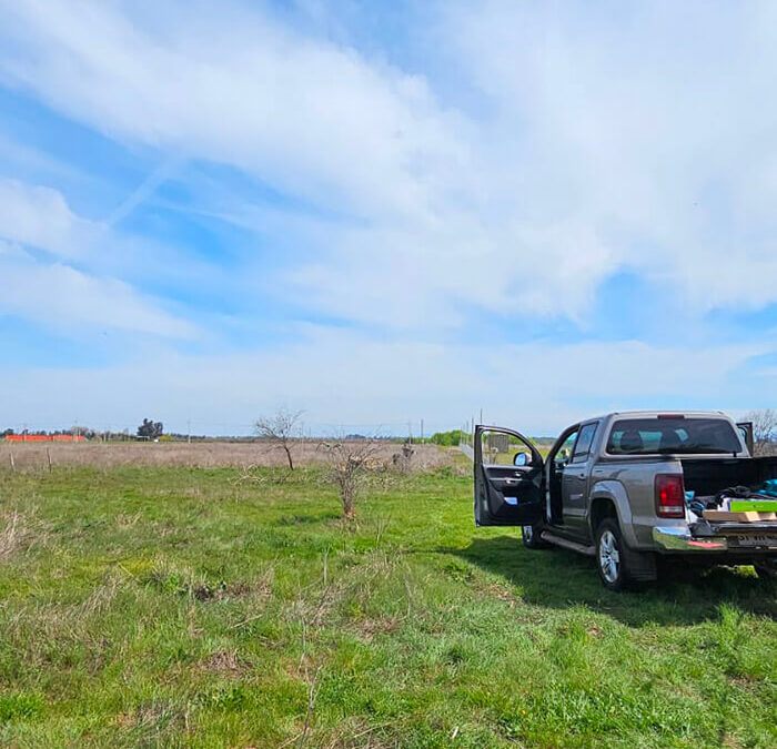 260 – Momento VW – Roberto Lobos