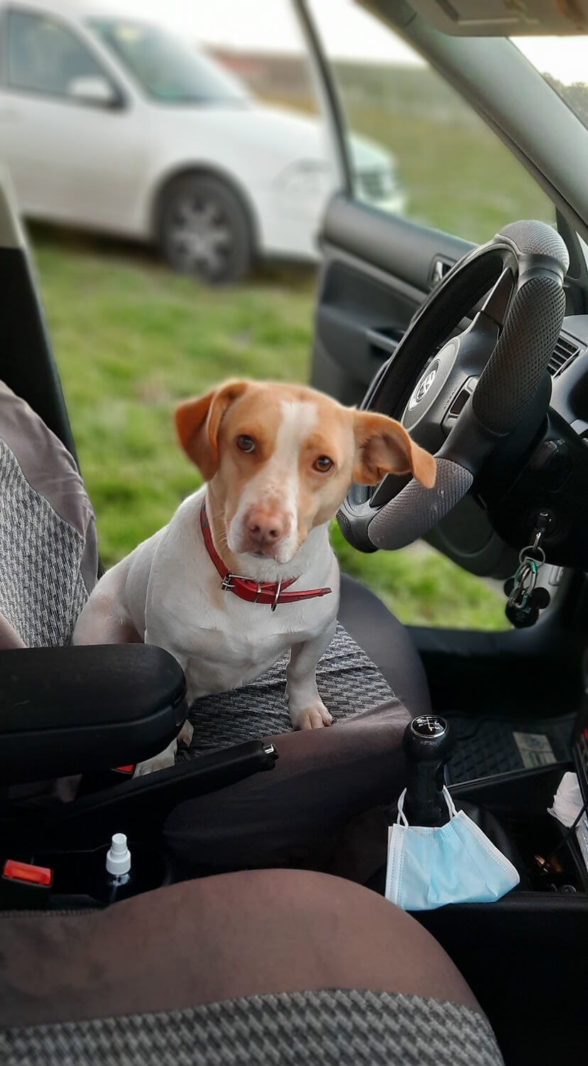 261 - Momento VW - Jose Farias Lizama