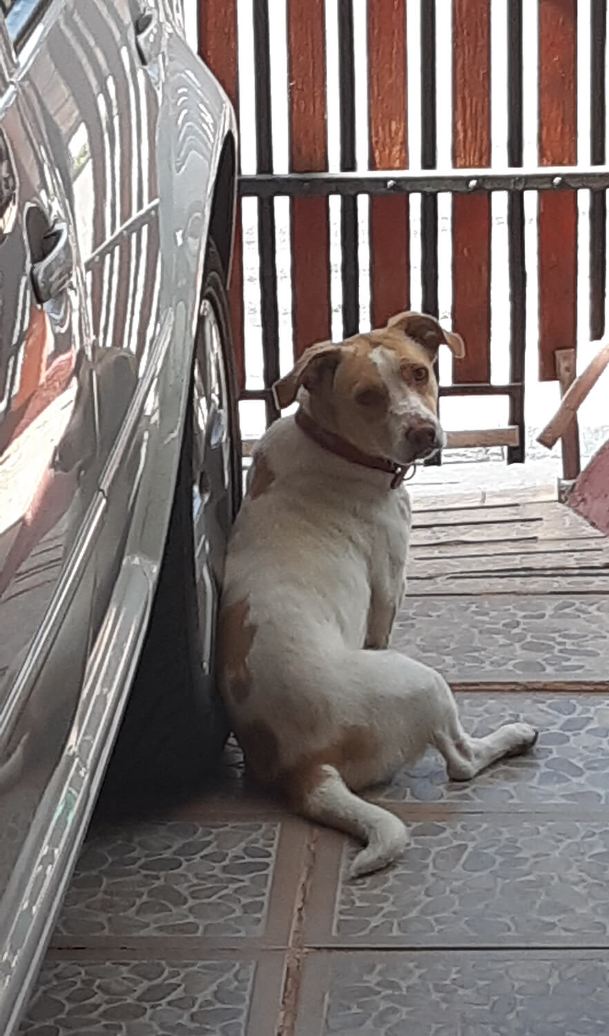 262 - Momento VW - Jose Farias Lizama