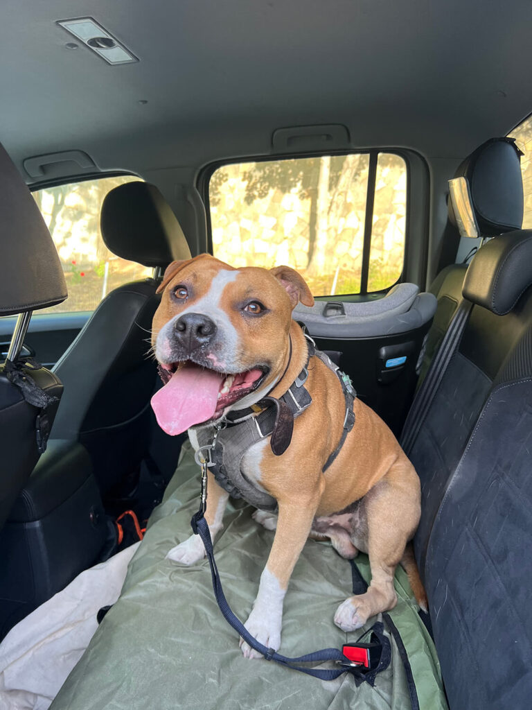 264 - Momento VW - Matias Diaz-Valdes