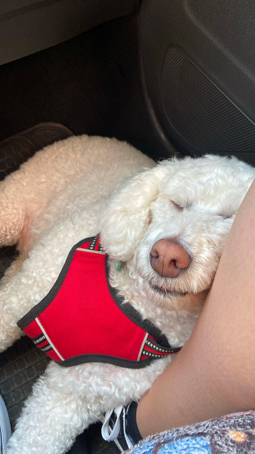 266 - Momento VW - Cristina Cabrera