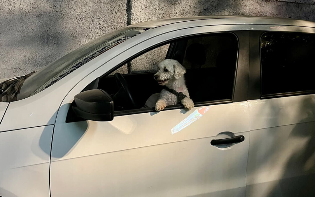 267 – Momento VW – Karina Labbé