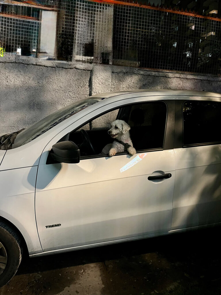 267 - Momento VW - Karina Labbé