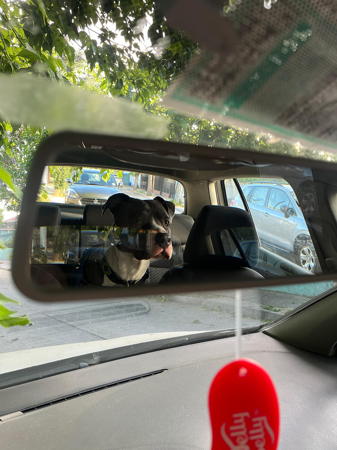 268 - Momento VW - María paz Peñailillo