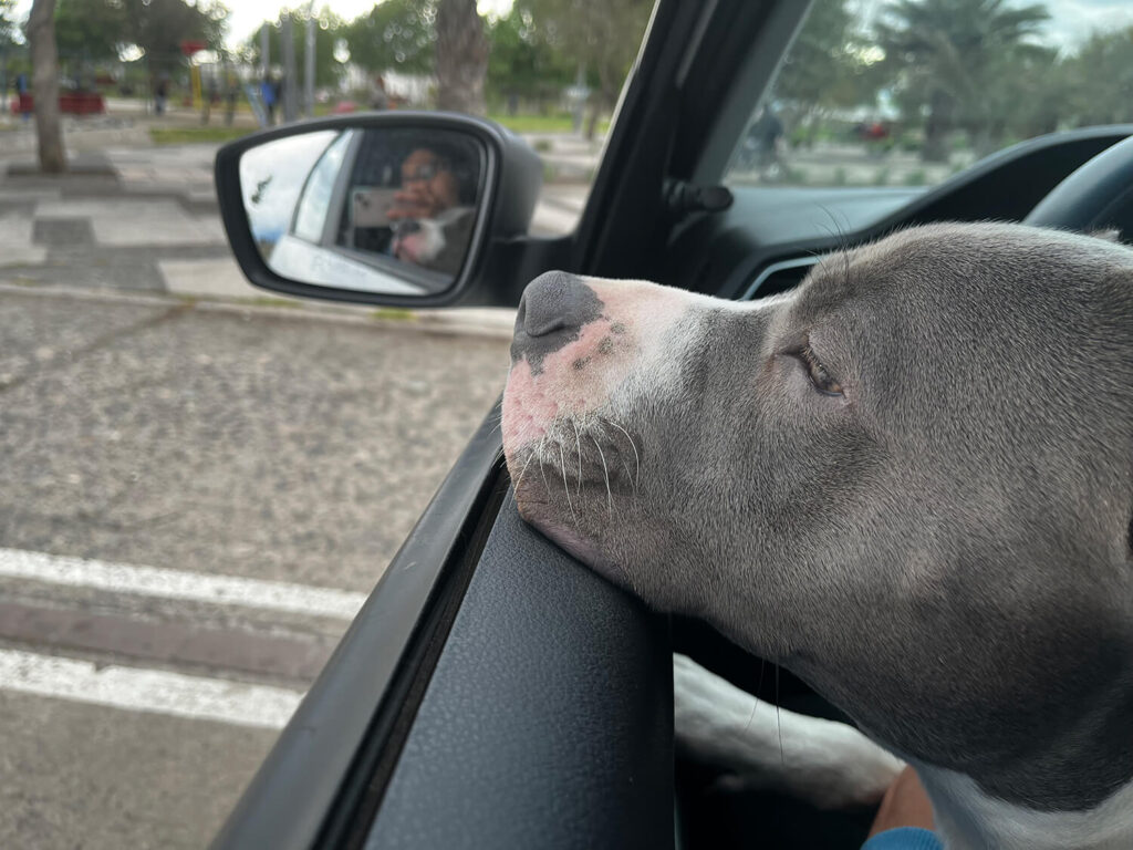 269 - Momento VW - María paz Peñailillo