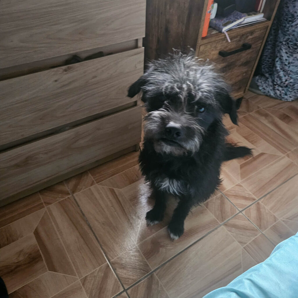 270 - Momento VW - Nicolas