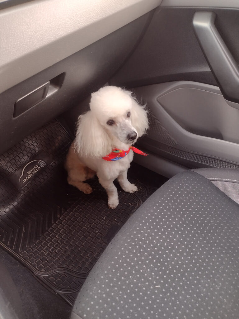 271 - Momento VW - Karin Schifferli