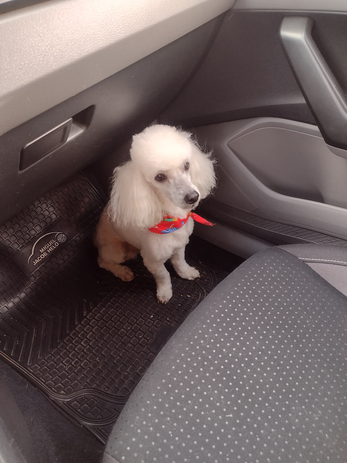 271 - Momento VW - Karin Schifferli