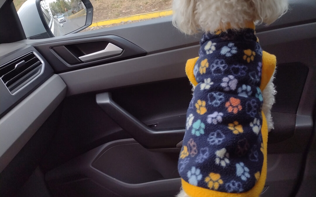 272 – Momento VW – Karin Schifferli