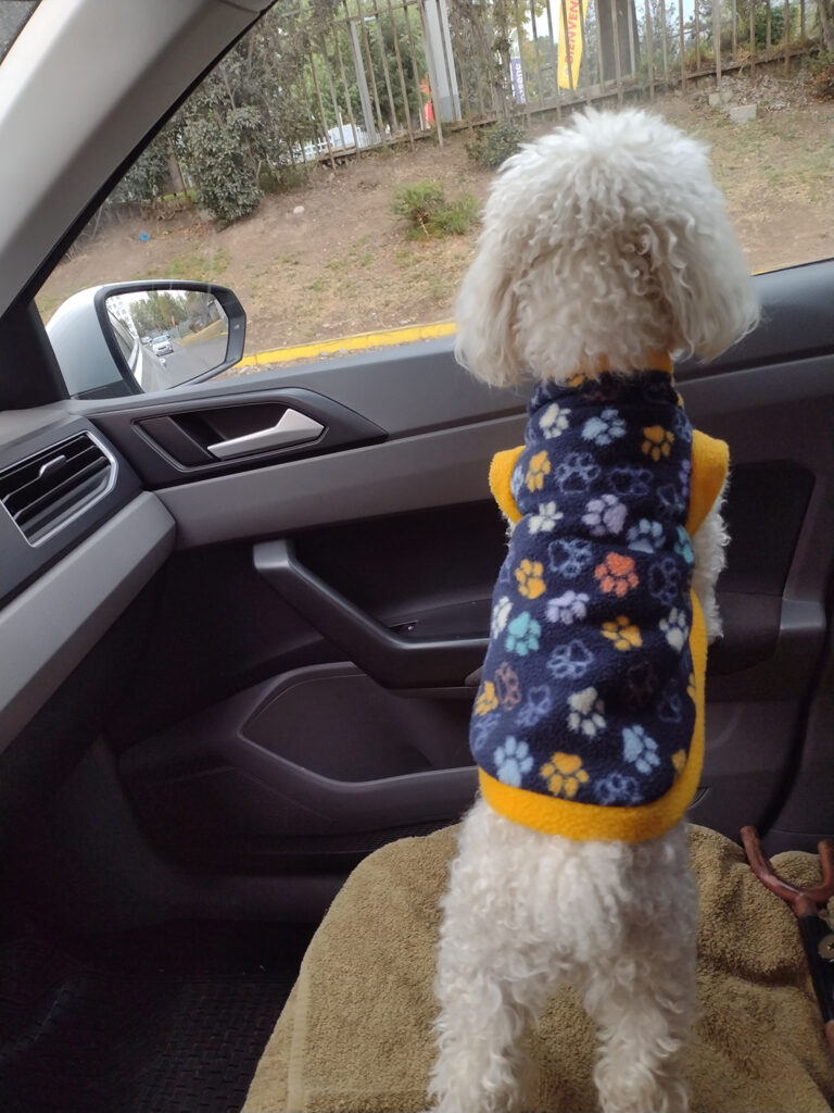 272 - Momento VW - Karin Schifferli