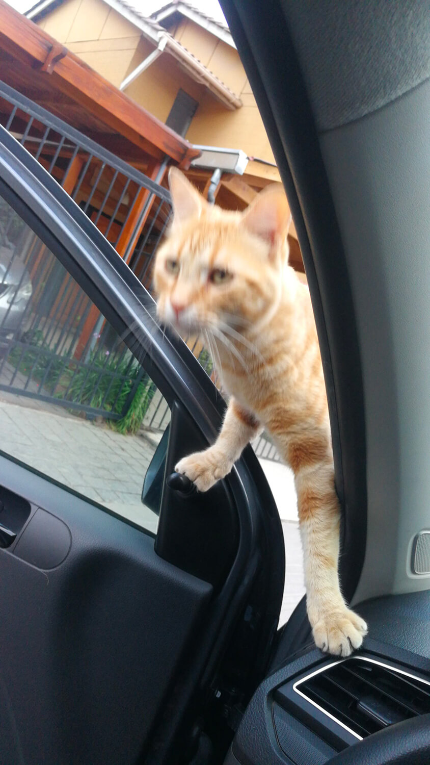 273 - Momento VW - Cristina Cabrera Ramírez