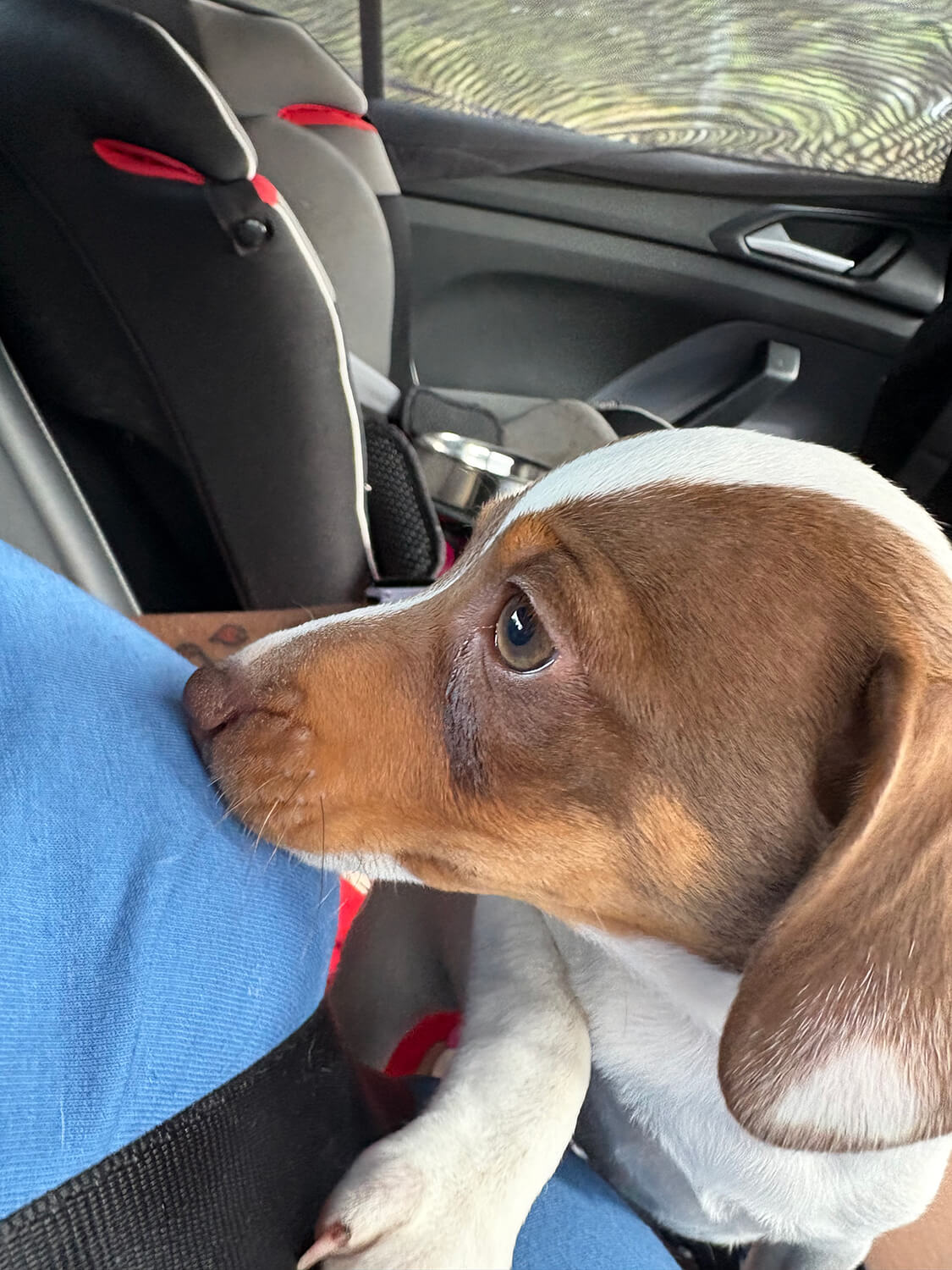 275 - Momento VW - Consuelo