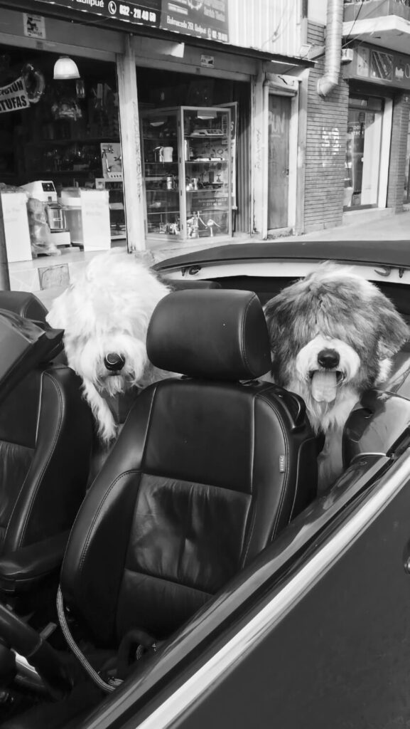 276 - Momento VW - Paola Santos Bórquez