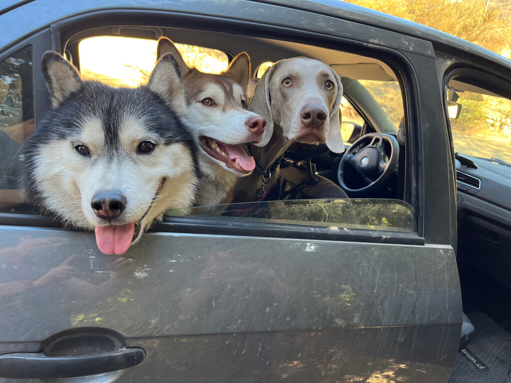 277 - Momento VW - Claudia Etcheverry