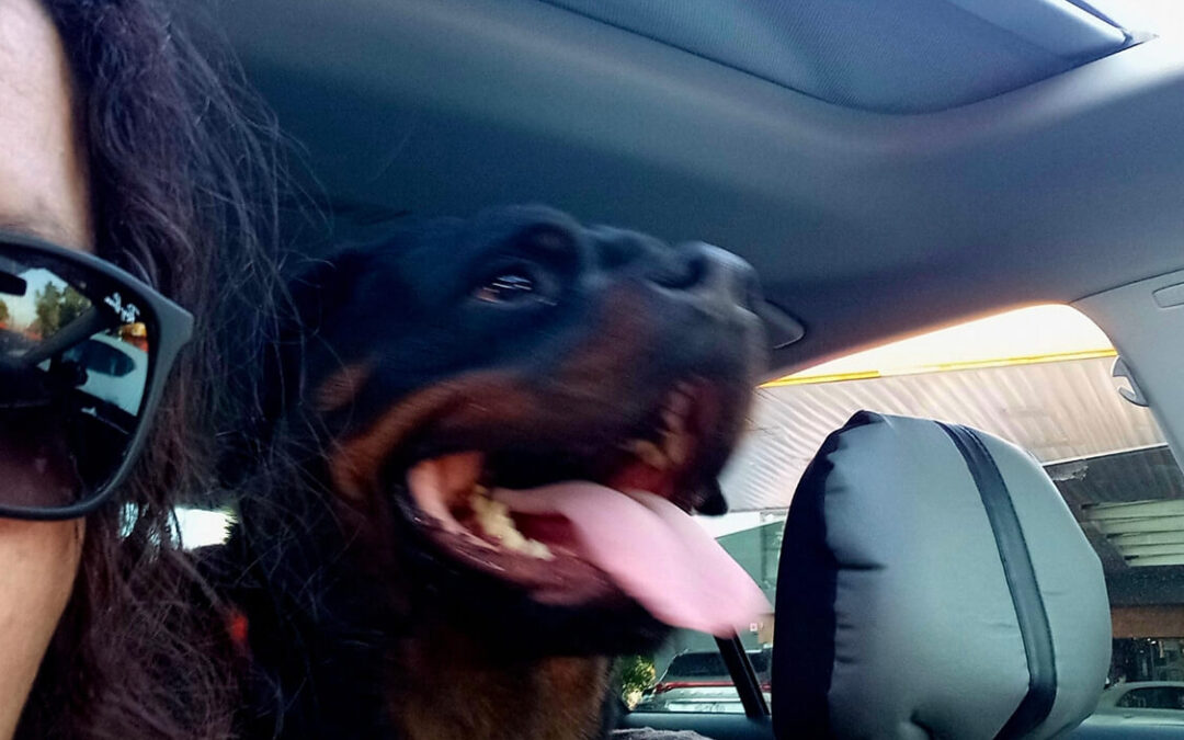 279 – Momento VW – Nathaly Abarca