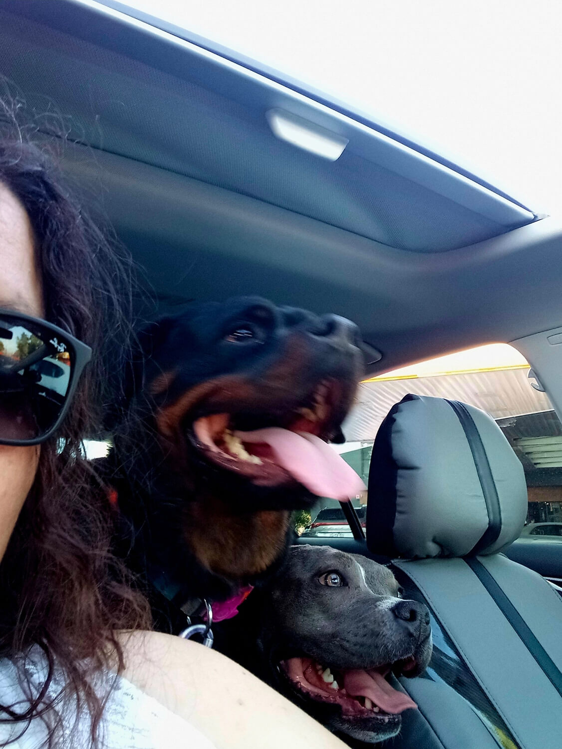 279 - Momento VW - Nathaly Abarca