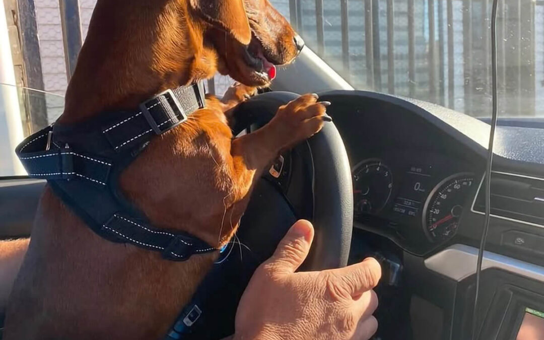 280 – Momento VW – Mauricio Cortes