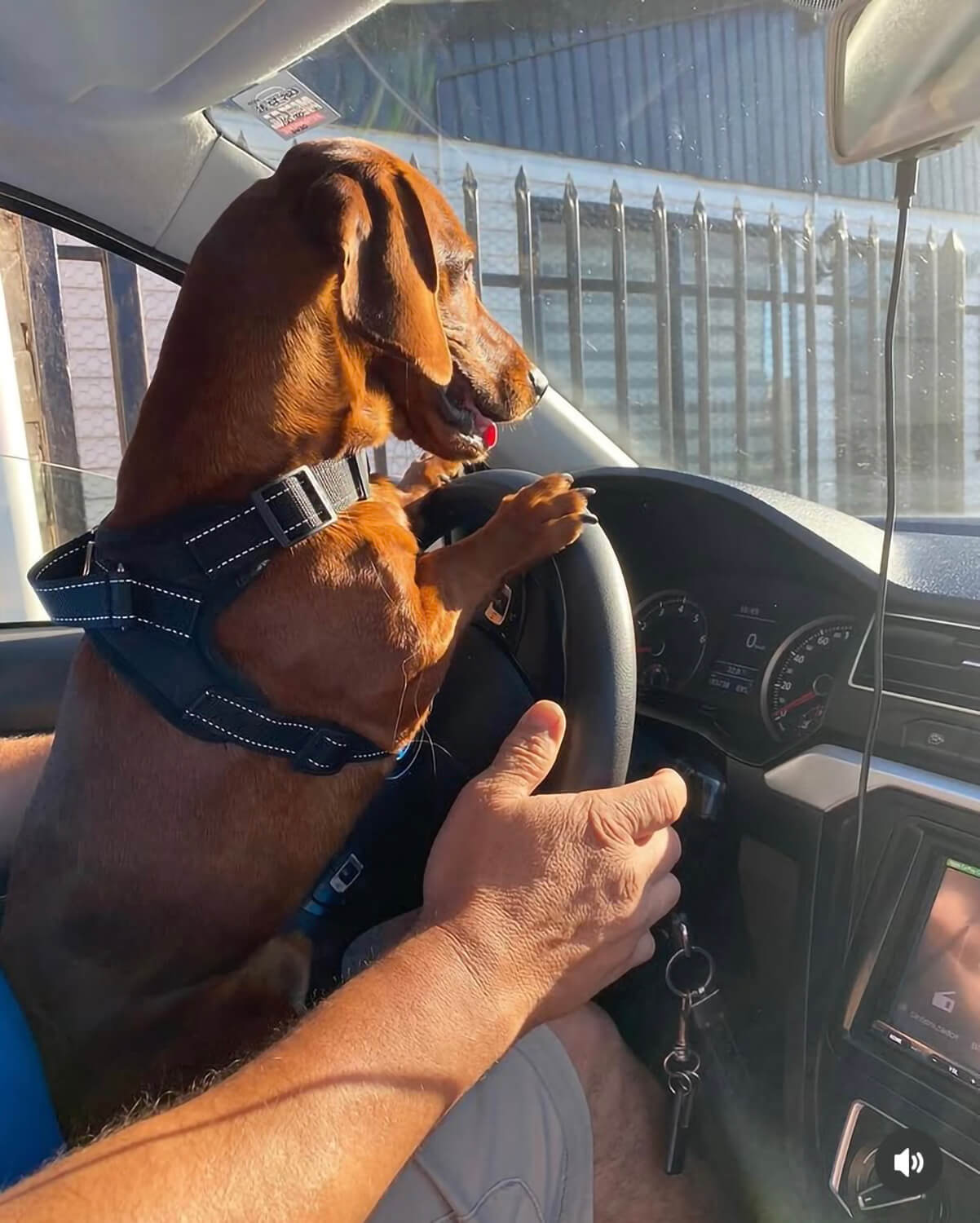 280 - Momento VW - Mauricio Cortes