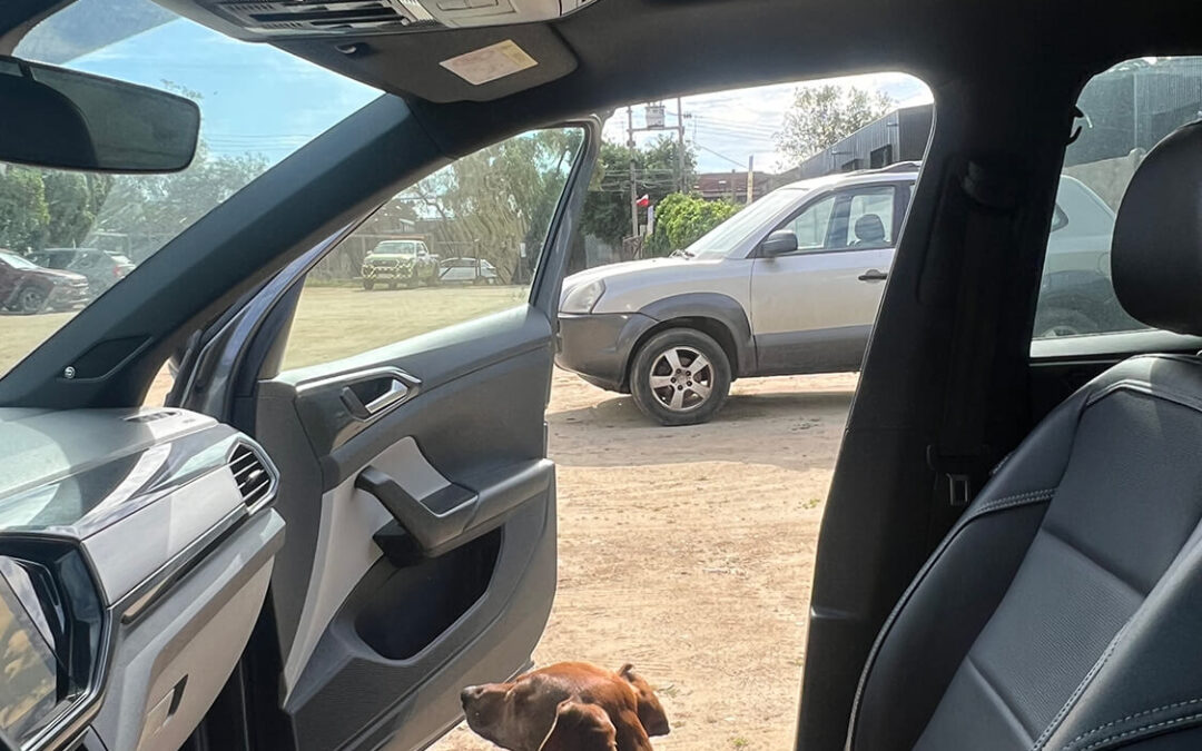 282 – Momento VW – Nadia Figueroa