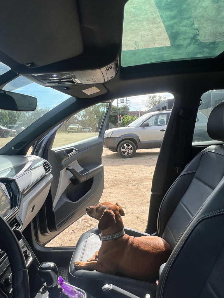 282 - Momento VW - Nadia Figueroa