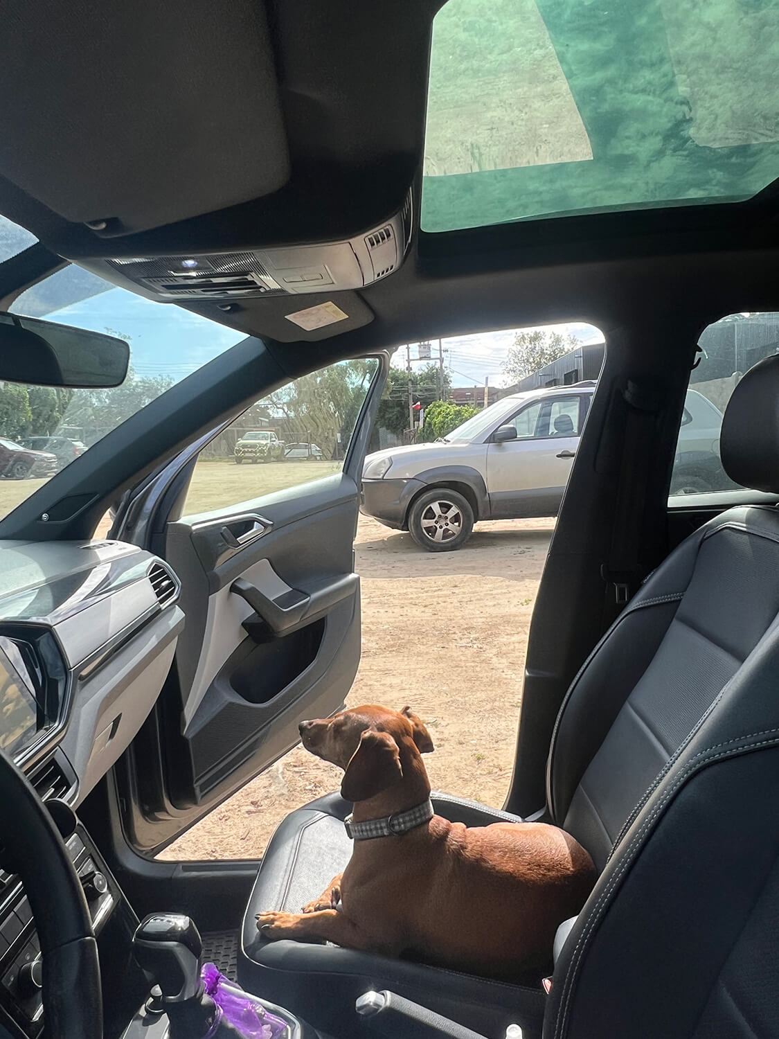 282 - Momento VW - Nadia Figueroa