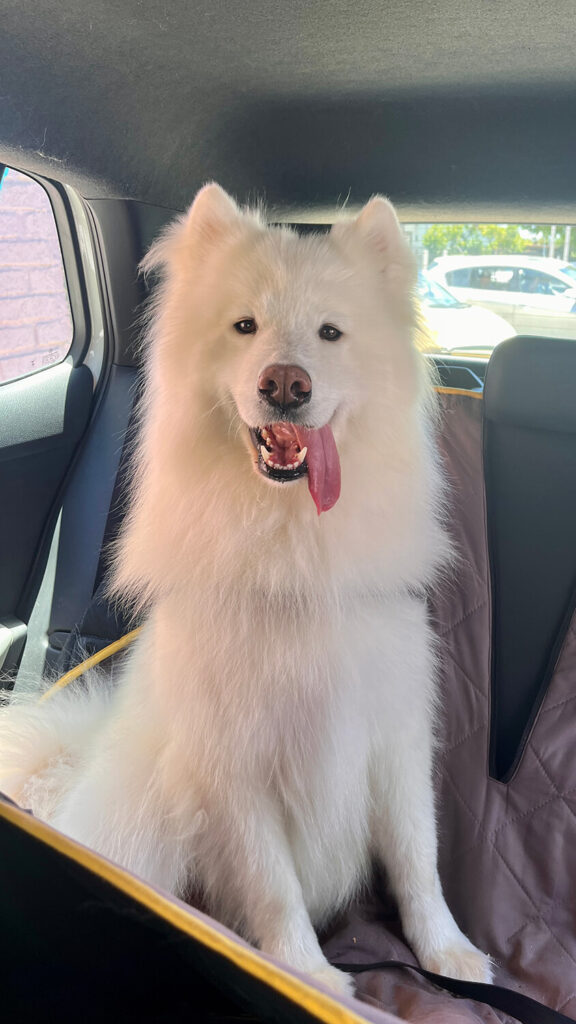 283 - Momento VW - Camila Sims