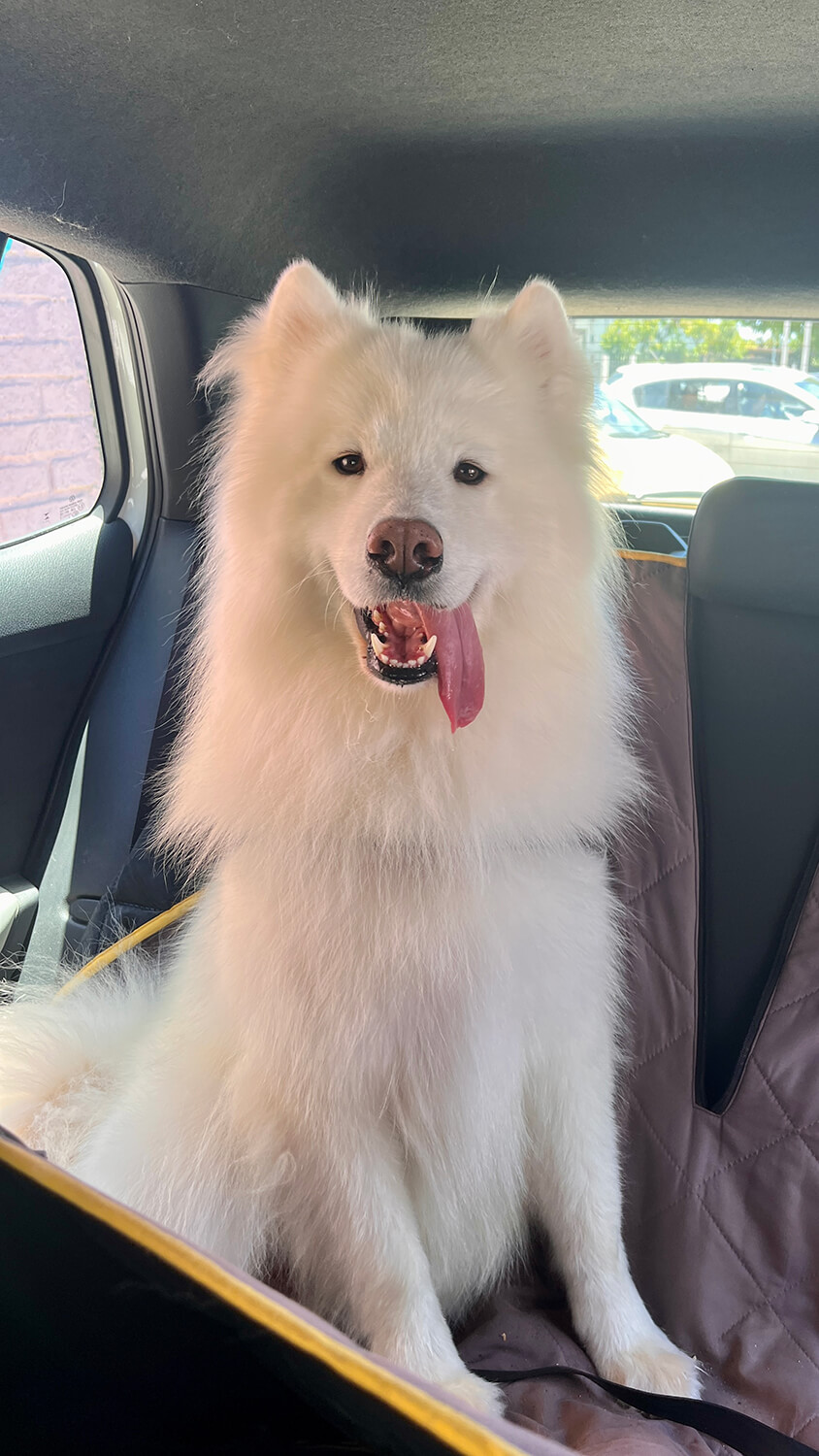 283 - Momento VW - Camila Sims