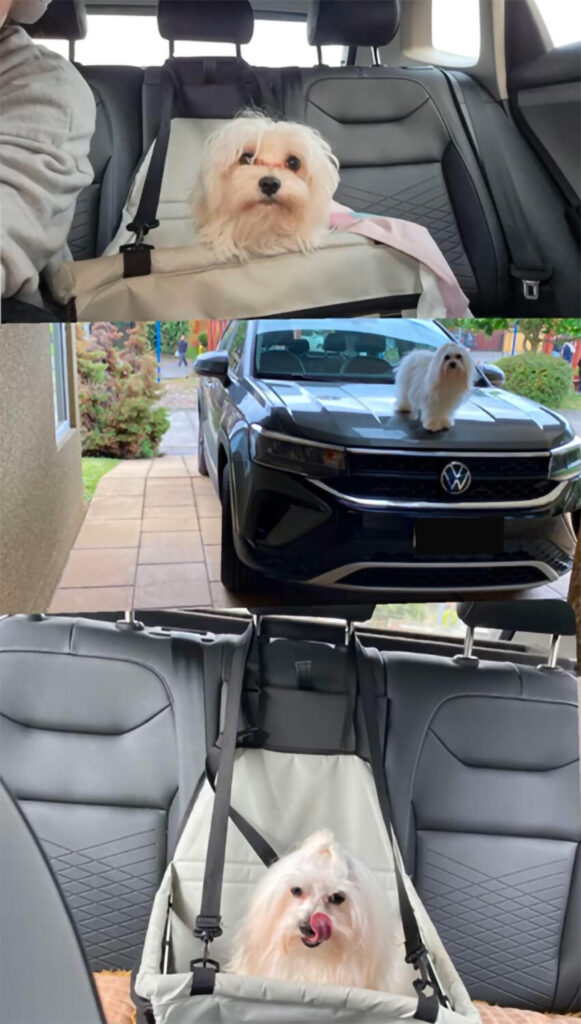 284 - Momento VW - Alejandra Villarroel