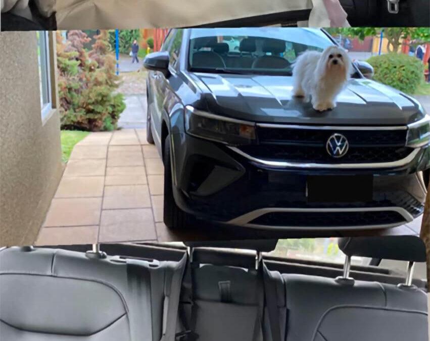 284 – Momento VW – Alejandra Villarroel