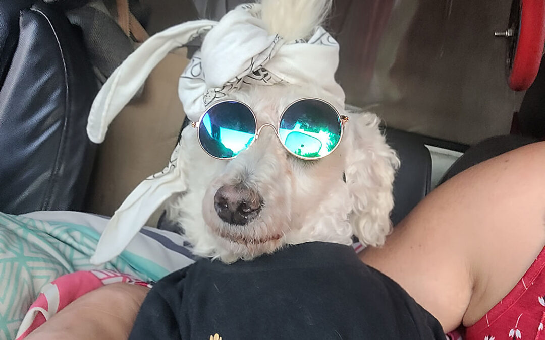 285 – Momento VW – Nathalia Galvez