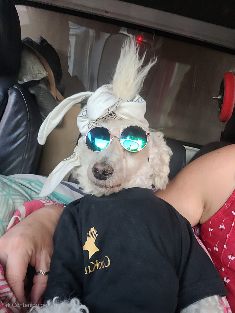 285 - Momento VW - Nathalia Galvez