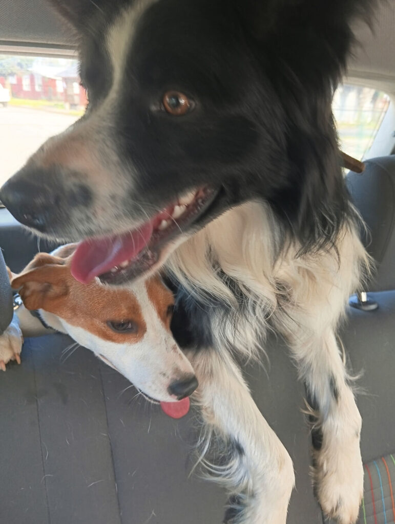 286 - Momento VW - Fabiola Martínez