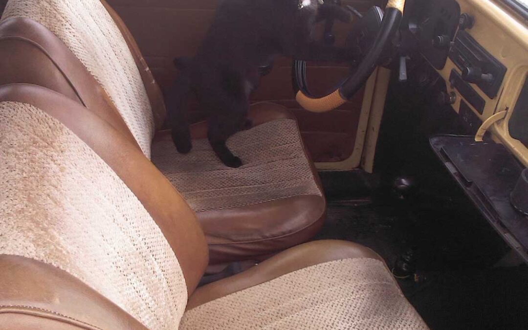 288 – Momento VW – Abigail Rivera