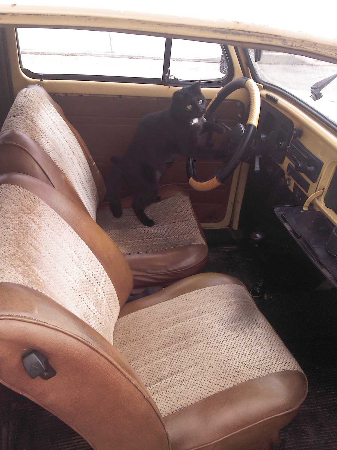 288 - Momento VW - Abigail Rivera